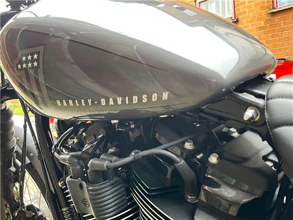 2022 Harley-Davidson Softail