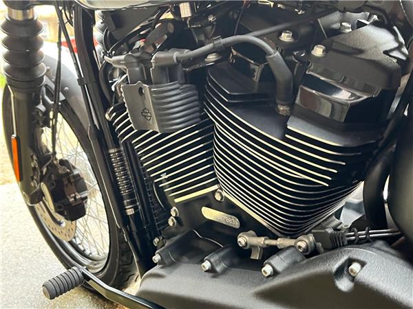 2022 Harley-Davidson Softail