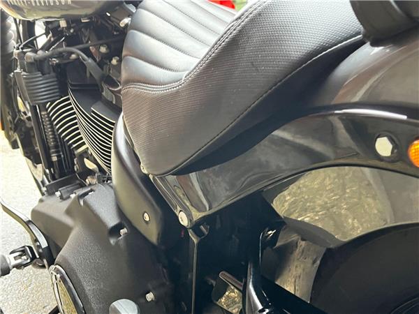 2022 Harley-Davidson Softail