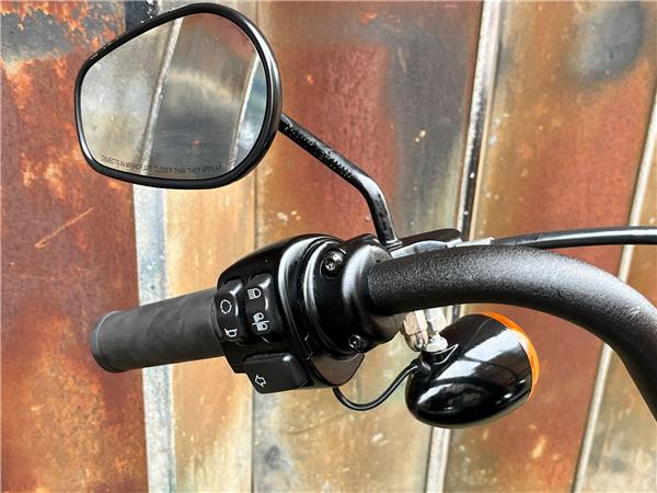 2022 Harley-Davidson Softail