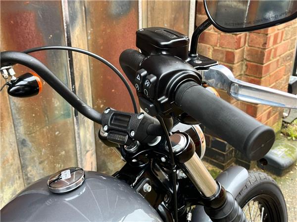 2022 Harley-Davidson Softail