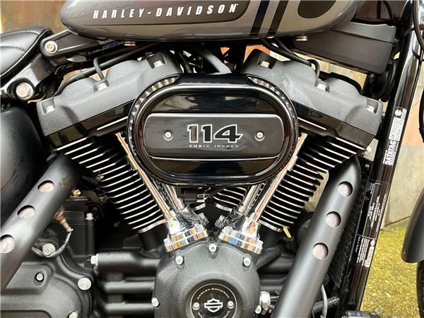 2022 Harley-Davidson Softail