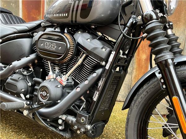 2022 Harley-Davidson Softail