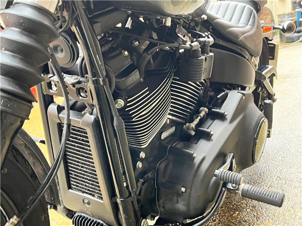 2022 Harley-Davidson Softail