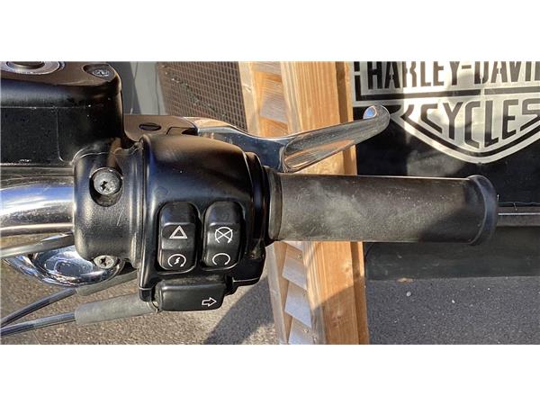 2015 Harley-Davidson Sportster