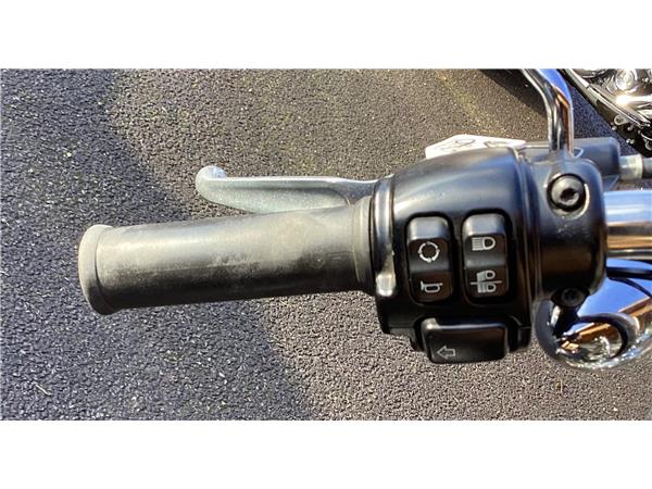 2015 Harley-Davidson Sportster