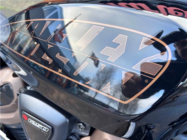 2021 HARLEY-DAVIDSON SPORTSTER S