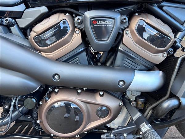 2021 HARLEY-DAVIDSON SPORTSTER S