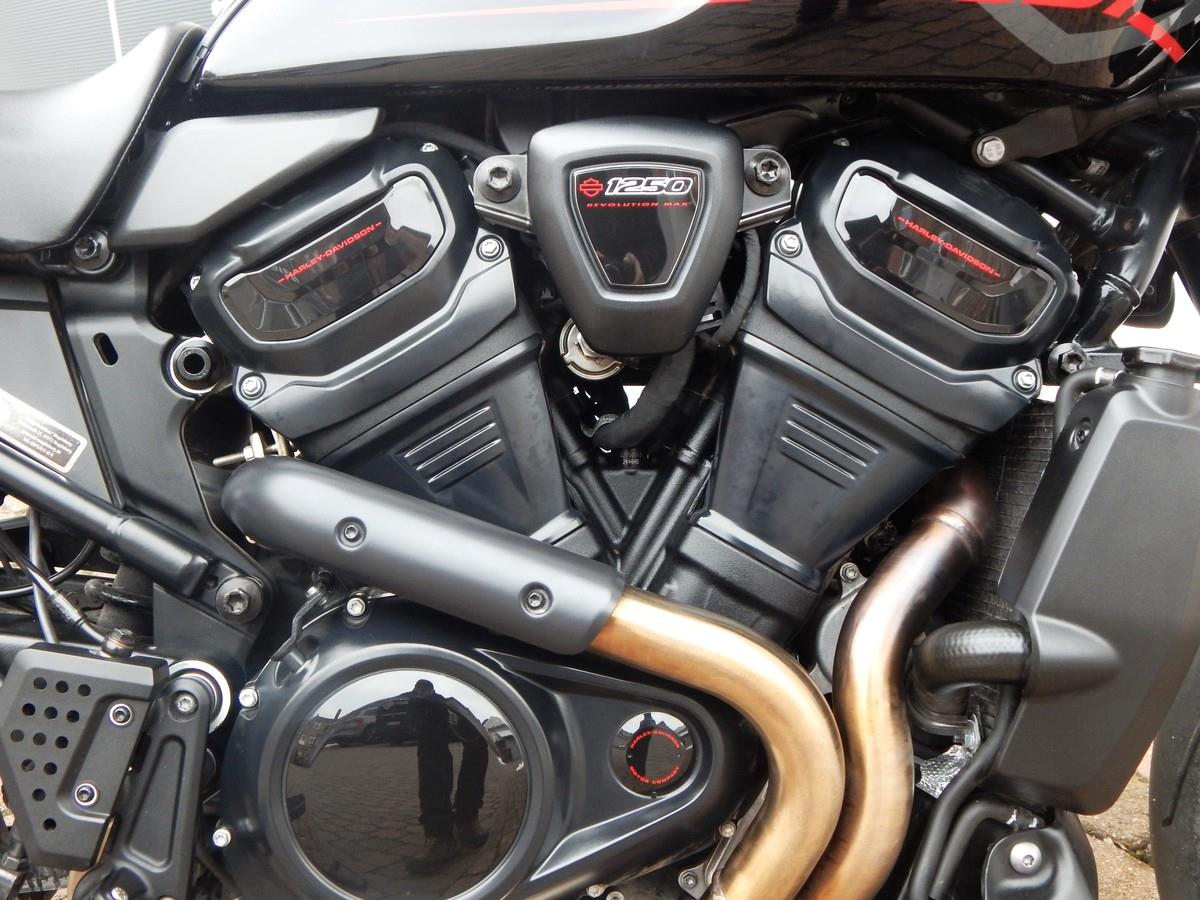 RA1250ST PANAM 1250 ST 2025 