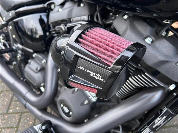 2021 HARLEY-DAVIDSON Softail