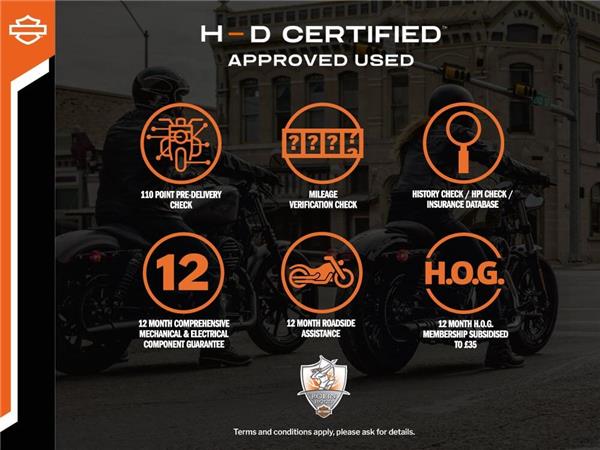 2021 HARLEY-DAVIDSON Softail