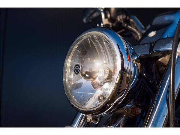 2007 Harley-Davidson Sportster 883 Custom