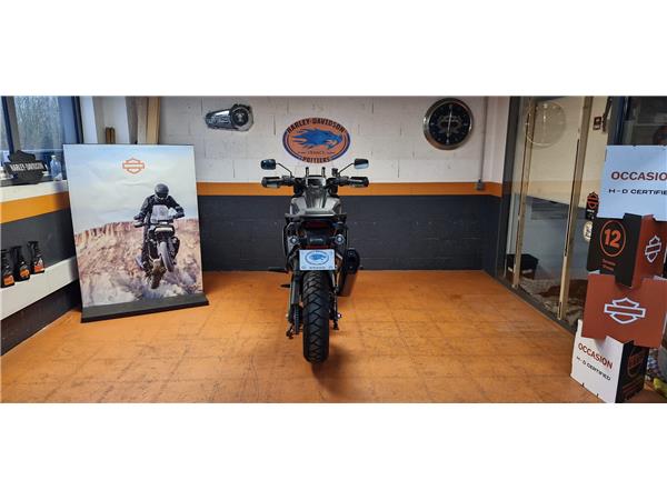 2023 HARLEY-DAVIDSON PAN AMERICA