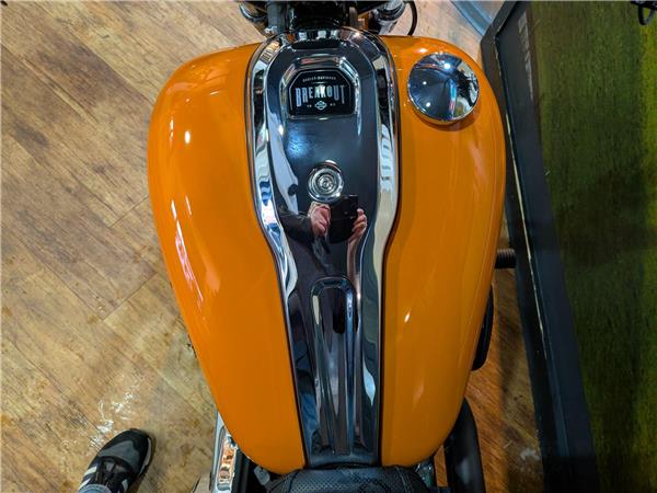 2023 Harley-Davidson Softail