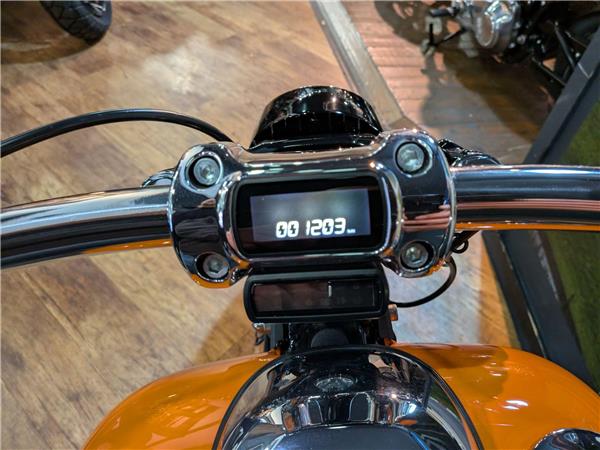 2023 Harley-Davidson Softail