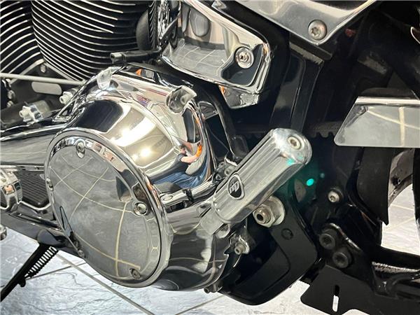 2018 Harley-Davidson Softail