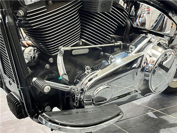 2018 Harley-Davidson Softail