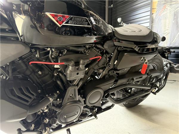 2025 HARLEY-DAVIDSON SPORTSTER 1250