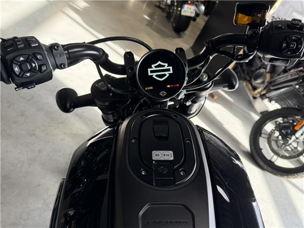 2025 HARLEY-DAVIDSON SPORTSTER 1250