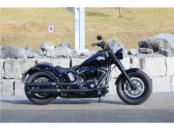 2016 harley-davidson FLSS Softail Slim S110 ABS