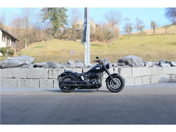 2016 harley-davidson FLSS Softail Slim S110 ABS