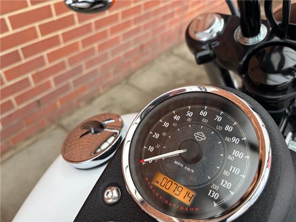 2015 HARLEY-DAVIDSON DYNA FXDL LOW RIDER