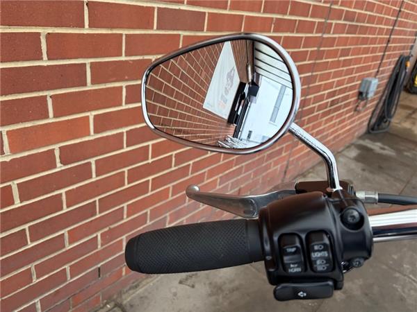 2015 HARLEY-DAVIDSON DYNA FXDL LOW RIDER