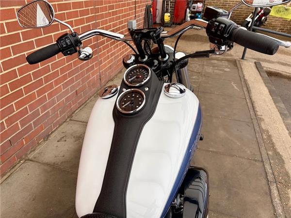 2015 HARLEY-DAVIDSON DYNA FXDL LOW RIDER