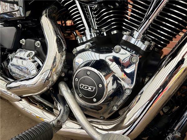 2015 HARLEY-DAVIDSON DYNA FXDL LOW RIDER