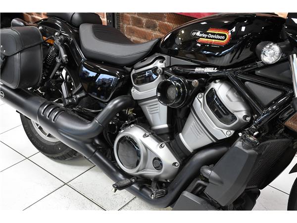 2024 HARLEY-DAVIDSON NIGHTSTER SPECIAL