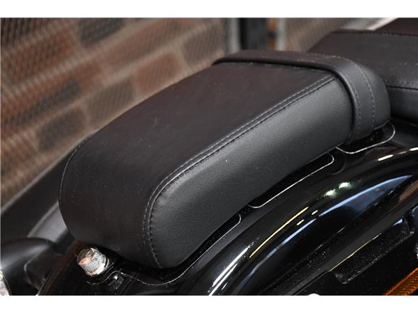 2024 HARLEY-DAVIDSON NIGHTSTER SPECIAL