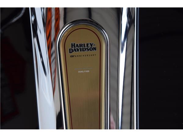 FLTRKSEANV Road Glide LTD ANV