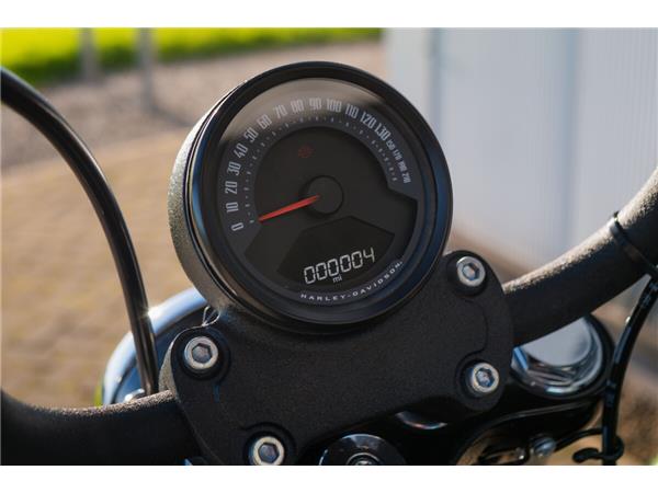 2025 Harley-Davidson Street Bob