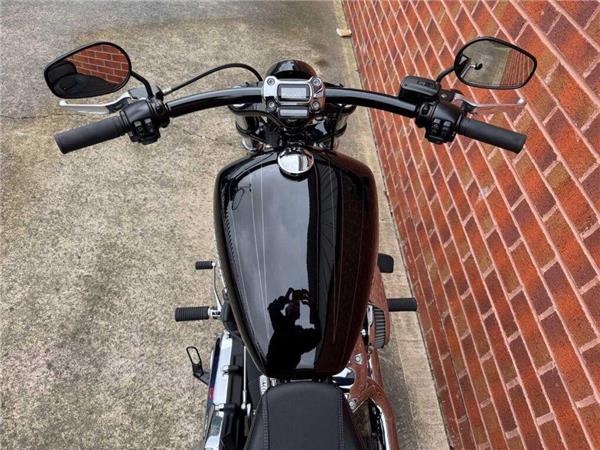2021 Harley-Davidson Fxbrs Breakout 114 1868 2