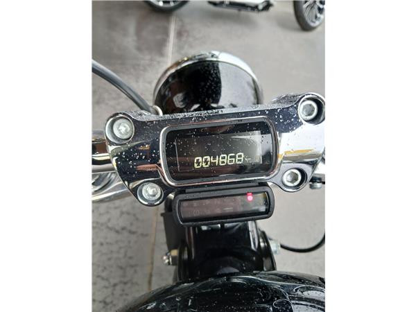 2022 HARLEY-DAVIDSON STANDARD