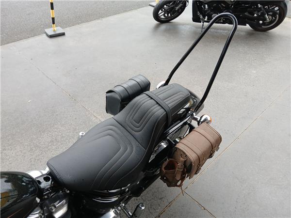 2022 HARLEY-DAVIDSON STANDARD