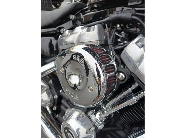 2022 HARLEY-DAVIDSON STANDARD