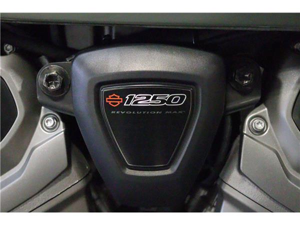 2021 HARLEY-DAVIDSON ADVENTURE TOURING RA1250S PAN AMERICA 1250 SPECIAL