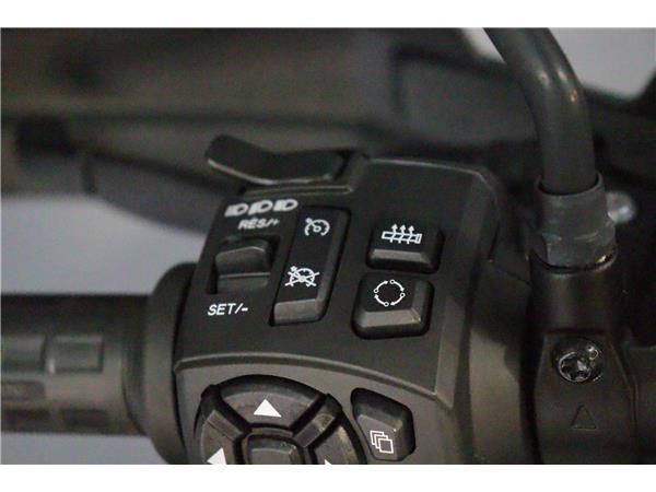 2021 HARLEY-DAVIDSON ADVENTURE TOURING RA1250S PAN AMERICA 1250 SPECIAL