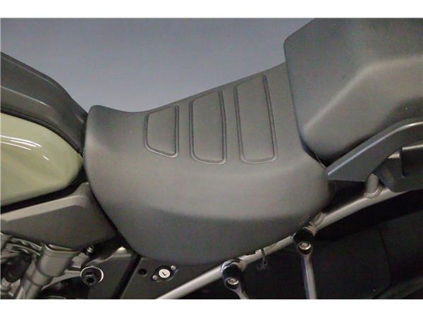 2021 HARLEY-DAVIDSON ADVENTURE TOURING RA1250S PAN AMERICA 1250 SPECIAL