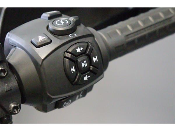 2021 HARLEY-DAVIDSON ADVENTURE TOURING RA1250S PAN AMERICA 1250 SPECIAL