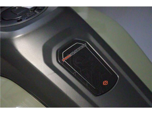 2021 HARLEY-DAVIDSON ADVENTURE TOURING RA1250S PAN AMERICA 1250 SPECIAL