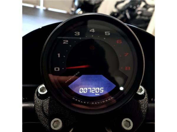 HARLEY-DAVIDSON LOW RIDER S