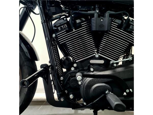 HARLEY-DAVIDSON LOW RIDER S