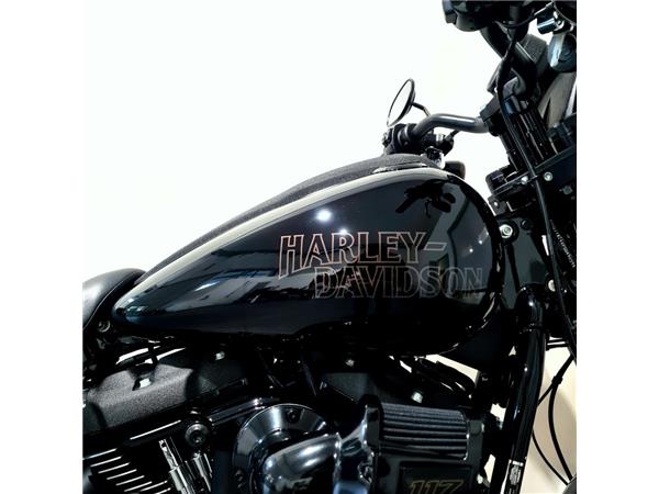 HARLEY-DAVIDSON LOW RIDER S
