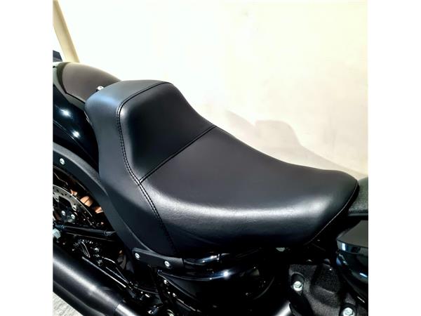 HARLEY-DAVIDSON LOW RIDER S