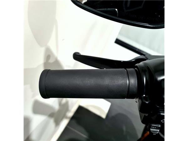 HARLEY-DAVIDSON LOW RIDER S