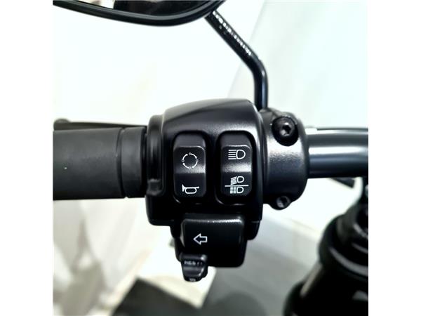 HARLEY-DAVIDSON LOW RIDER S