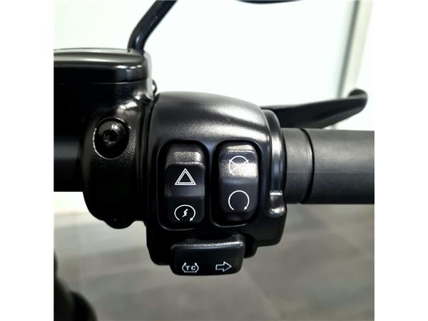 HARLEY-DAVIDSON LOW RIDER S