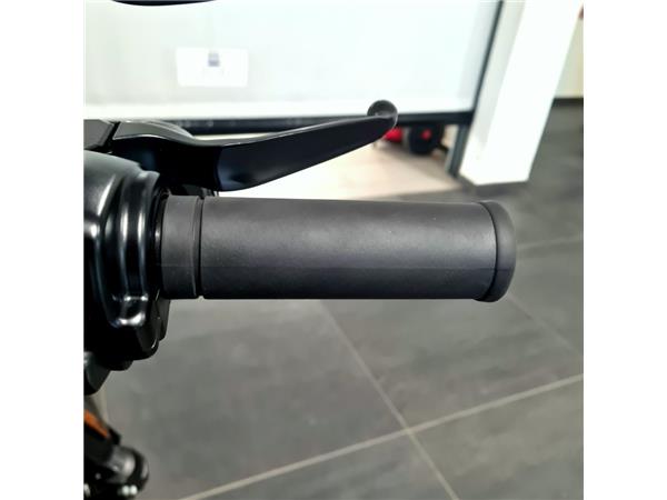 HARLEY-DAVIDSON LOW RIDER S